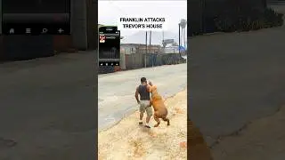 😂 Trevor's Dog Had Last Laugh 😂