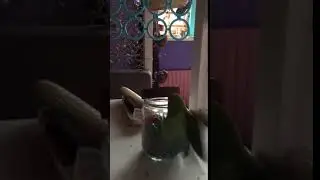 Henkie opening the treat jar