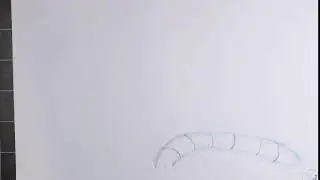 Tiger Tail Wag