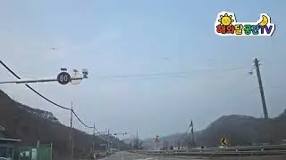 버섯랜드에서 집으로 출발🐰🌹🌵🩷🐦🌹🩵🌹🍀