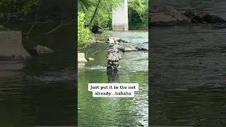 Trying to net a trout #fishing #troutfishing #flyfisherman #fishingtechniques #wvdnr#outdoors