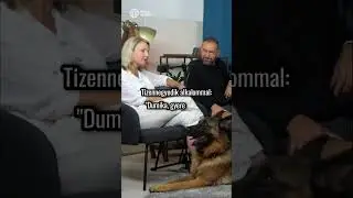 N&eacute;metjuh&aacute;sz vs berni p&aacute;sztor. #kutya