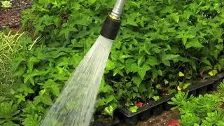170PL Water Breaker&reg;  Nozzle
