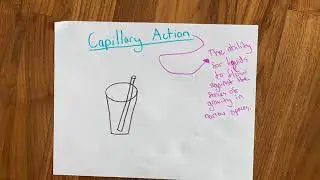 Capillary Action Makes Life Possible Nanki