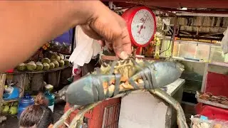 inside Dampa Seaside Fish Market Manila Where Locals Eat Fresh Seafood Philippines 🇵🇭 EP-6