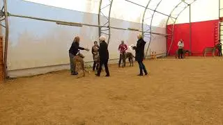 17.09.2017 Stuhr R&uuml;den Jugendklasse