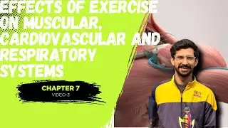 Short Term vs Long Term Effects of Exercise 💪❤️ | Muscular & Cardiorespiratory System | Class 12 PE