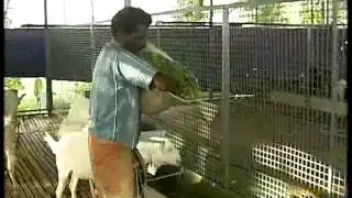 Pon Vilaiyum Bhoomi  18/07/2014