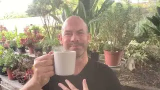 When Thinking, Feeling & Action come together 🌿 | 8min coffee meditation ☕ | Renier Cronje (ZR #31)