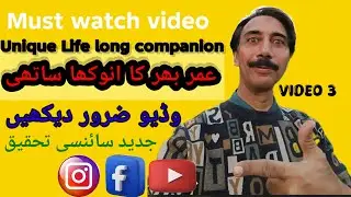 Amazing life long companion|umar bhar ka harat angaiz sathi|brisk walk amazing  benefits
