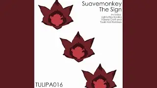 The Sign (Lights Electronika Remix)