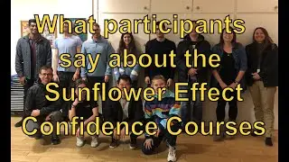 The Sunflower Effect Changed Our Lives - Real Stories