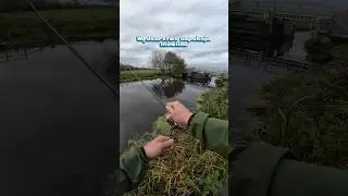 Obślizguny jedne😂  #lurefishing #pikefishing #fishingfails #szczupak #fishingday #fishingshorts