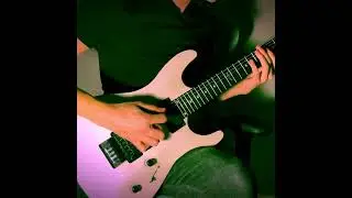 Rammstein - Wollt ihr das Bett in FLAMMEN sehen? (Short guitar cover) #shorts