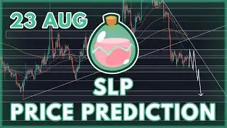 GREAT FUNDAMENTALS FOR SLP! | SLP COIN PRICE PREDICTION & ANALYSIS 2022!