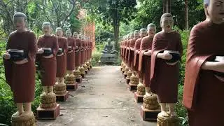 Wat Bo Pagoda in Siem Reap !