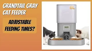 REVIEW (2025): Grandtail Gray Cat Feeder. Features