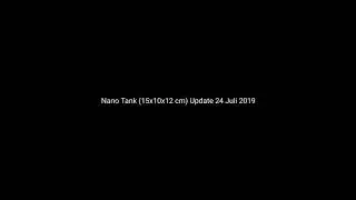 Nano Tank (15x10x12 cm) Update 24 Juli 2019