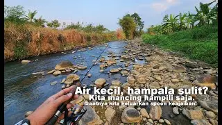 Sungai surut, hampala sulit? Saatnya kita keluarkan lure maut kembali...