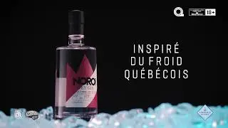 Dry Gin aux petits fruits du Qu&eacute;bec NOROI