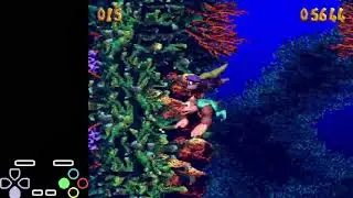 DKC3 103% Bazza's Blockade 107.31