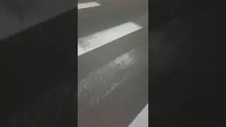 鎖なしの犬を見られたのさLa・La⚝La☆