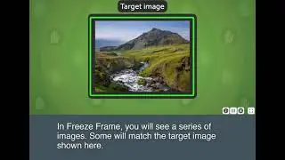 Freeze Frame
