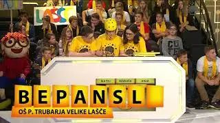 Možganski labirint: OŠ P. Trubarja Velike Lašče