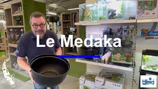 Ce poisson va te surprendre !