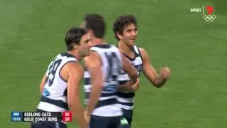 Cockatoo pounces on Suns error - AFL