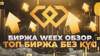 WEEX КРИПТОБИРЖА - КАК ЗАРЕГИСТРИРОВАТЬСЯ, СТОИТ ЛИ ПОЛЬЗОВАТЬСЯ? АНОНИМНАЯ БИРЖА WEEX