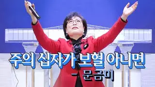 ♪♬ 주의 십자가 보혈아니면- 찬양사역자 문금미