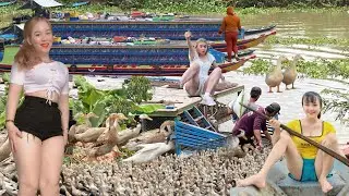 Chaotic Duck Herding Across the River to the Truck &ndash; Viewers Shocked by This Rural Scene