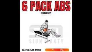 seated knee raises