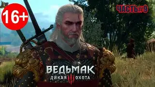В Поисках Ублюдка Младшего  ►Ведьмак 3: Дикая Охота ► Серия#9