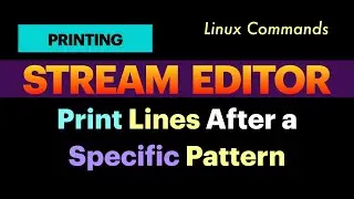 Print Lines After a Specific Pattern | Text Extraction