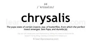 Pronunciation of Chrysalis | Definition of Chrysalis