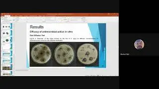 Antimicrobial potential of creams based on phyllanthus niruri andmyracrodruon urundeuva in