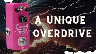 ISet Storm Overdrive: The Most Unique Cheap Overdrive?