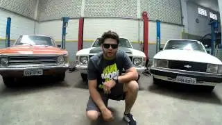 Opala na Veia