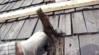 Roofing Calgary Contractors at Work