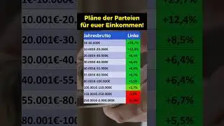 Das plant die Linke f&uuml;rs Nettoeinkommen!