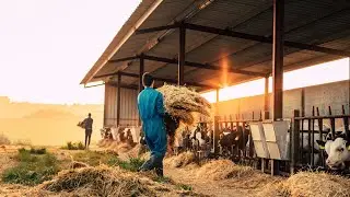 'Bigger urban rural divide' over transmission lines than first suspected