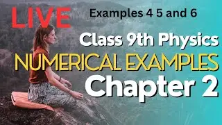 Physics  class 9th Chapter 2 Kinematics examples 4 5 6 Nd 7  #thementaleducator