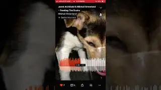 Jared Archibald & Mikhail Greenland - Feeding The Ducks 🦆 (A duck park inspired song.)