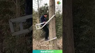 WALKING Up a Tree?! 🚶&zwj;♂️🌳 This Gadget is Wild! #treeclimbing #invention #gadgets #diy #outdoorgear