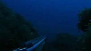 Spearfishing 93 ft , David Badia