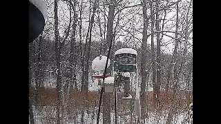 Bird Feeder - January 6th  2026 at 9am