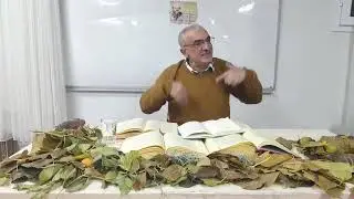 Said Nursi ve İman Hakikatleri - Halis BOZKURT