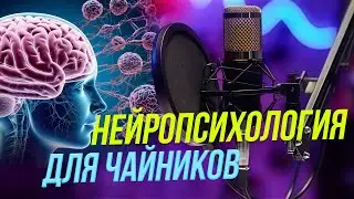 Как прокачать мозг | Подкасты на ОТС &mdash; 24 сентября